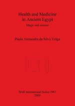 Health and Medicine in Ancient Egypt