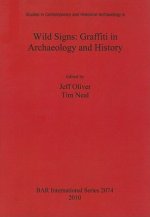Wild Signs: Graffiti in Archaeology and History