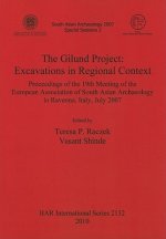 Gilund Project: Excavations in Regional Context