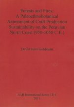 Forests and Fires: A Paleoethnobotanical Assessment of Craft Production Sustainability on the Peruvian North Coast (950-1050 C.E.)