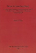 Norse in Newfoundland: A Critical Examination of Archaeological Research at the Norse site at L'Anse aux Meadows Newfoundland