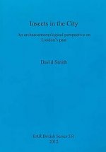 Insects in the City: An archaeoentomological perspective on London's past