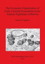 Economic Organization of Early Camelid Pastoralism in the Andean Highlands of Bolivia