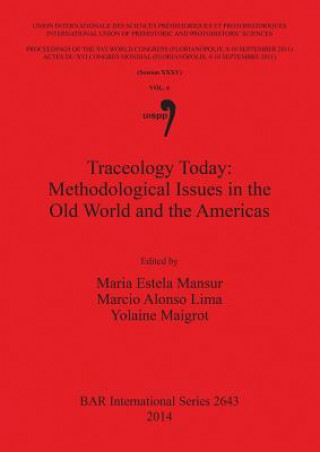 Traceology Today: Methodological Issues in the Old World and the Americas