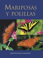 Mariposas y Polillas