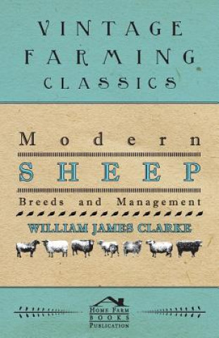 Modern Sheep - Breeds And Management
