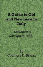 A Guide to Old and New Lace in Italy - Exhibited at Chicago in 1893
