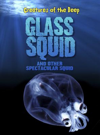 Glass Squid and Other Spectacular Squid
