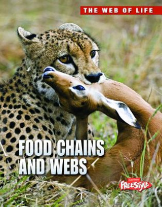 Food Chains and Webs