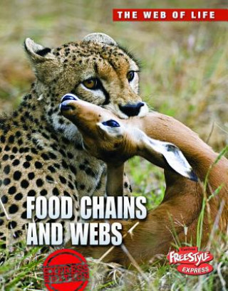 Food Chains and Webs