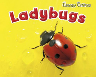 Ladybugs