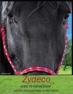Zydeco Goes to Horse Camp