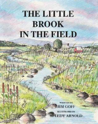 Little Brook in the Field
