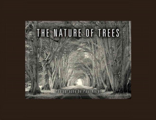The Nature of Trees Notecards [With 16 Envelopes]