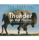 Thunder on the Plains