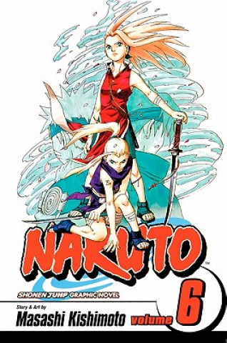 Naruto, Volume 6: The Forest of Death