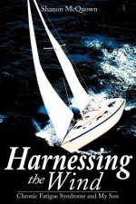 Harnessing the Wind: Chronic Fatigue Syndrome and My Son