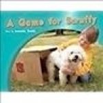 Rigby PM Photo Stories: Leveled Reader (Levels 3-5) Game for Scruffy, a