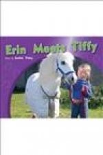 Rigby PM Photo Stories: Leveled Reader (Levels 3-5) Erin Meets Tiffy