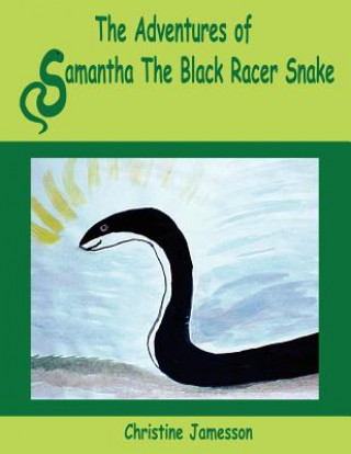 Adventures of Samantha The Black Racer Snake