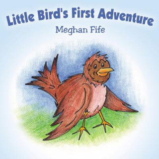 Little Bird's First Adventure