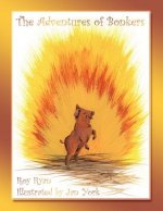 Adventures of Bonkers