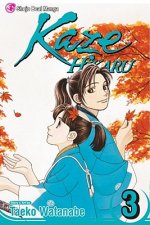 Kaze Hikaru, Volume 3