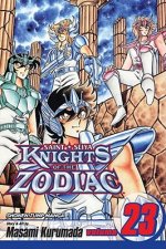 Knights of the Zodiac (Saint Seiya), Volume 23: Underworld: The Gate of Despair