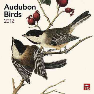John James Audubon Birds