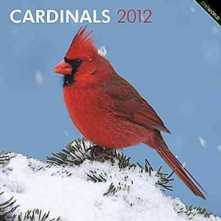 Cardinals 2012 Square 12x12 Wall Calendar