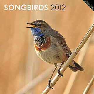 Songbirds 2012 Square 12x12 Wall Calendar