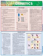 Genetics Laminate Reference Chart