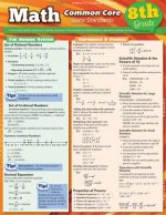 Math Common Core State Standards, Grade 8