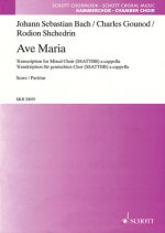 Ave Maria: Ssattbb A Cappella