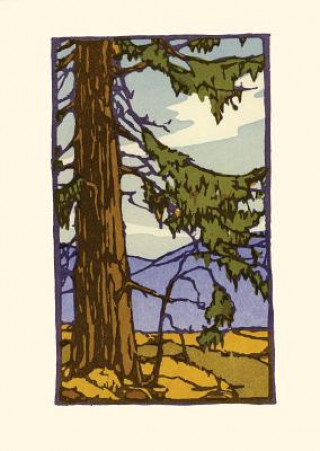 California Redwood (Boxed)