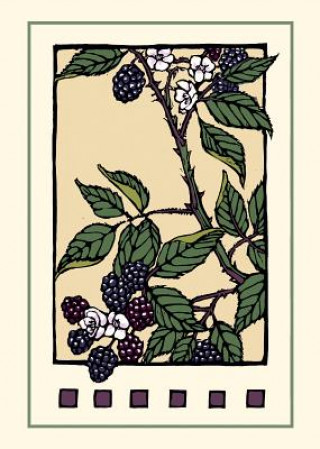 Blackberries Boxed