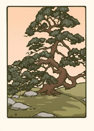 Japanese Pine