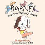 Barney and the Missing Shoes