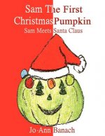 Sam the First Christmas Pumpkin