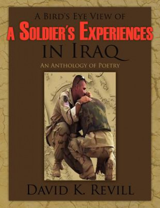 Bird's Eye View of a Soldier's Experiences in Iraq