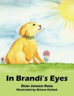 In Brandi's Eyes