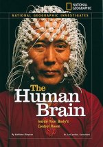 Human Brain