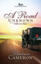 Road Unknown