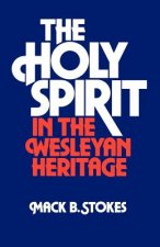 Holy Spirit in the Wesleyan Heritage (Student)