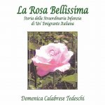 Rosa Bellissima