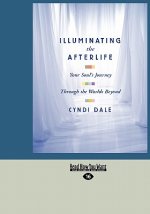 Illuminating the Afterlife: Your Soul's Journey Through the Worlds Beyond (Easyread Large Edition)