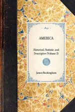 America: Historical, Statistic, and Descriptive (Volume 3)