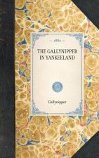 Gallynipper in Yankeeland