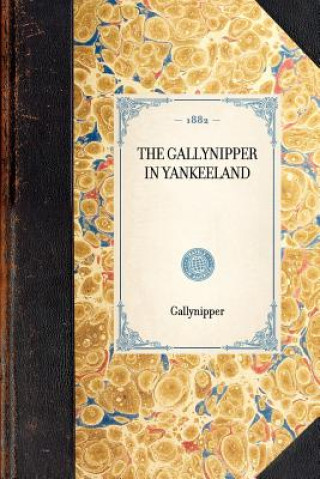 Gallynipper in Yankeeland