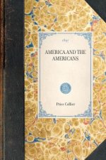America and the Americans: From a French Point of View